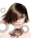 Gavin's Hair Studio for a new look 